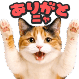 飛び出す★リアル猫2