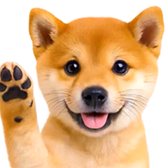 飛び出す★わんこ