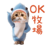 踊る！ダンス サメ猫（死語）