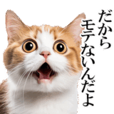 感情が顔に出てしまう猫2