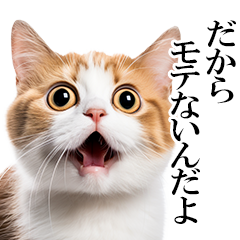 感情が顔に出てしまう猫2