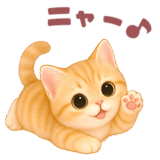 ニャンコ♥ニャンコ