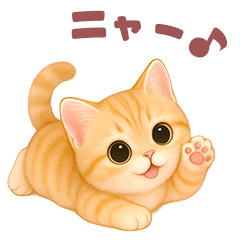 ニャンコ♥ニャンコ
