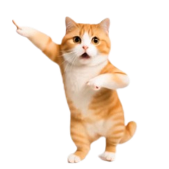 動く!リアル猫の日常4