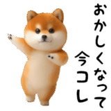 踊る！豆柴（今コレ界隈）