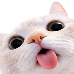 飛び出す★猫猫猫