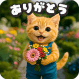 動く❤️タマにゃんの日常