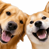 飛び出す★犬犬犬