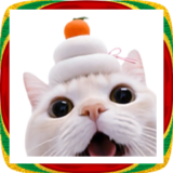 飛び出す★猫猫猫の正月