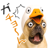 フレンチなブルさん【ダジャレ】