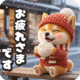 動く⭐豆柴コロの冬