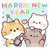 ふんわり❤️にゃんこの冬