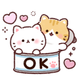 ふんわり❤️にゃんこ