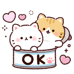 ふんわり❤️にゃんこ