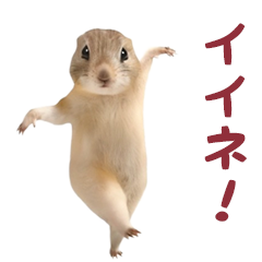高速で踊る!ハムスター