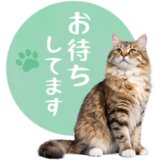 毎日使える✿サイベリアン