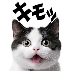 感情が顔に出てしまう猫ポップアップ