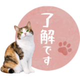 毎日使える✿日本猫