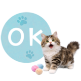 毎日使える✿ミヌエット