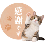 毎日使える✿マンチカン