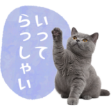 毎日使える✿ブリティッシュショートヘア