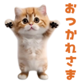 飛び出す！ダンス猫