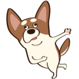 チワワのピノ♪