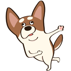 チワワのピノ♪