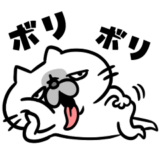ブサ猫★
