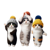 踊る！ニット帽にゃんこ
