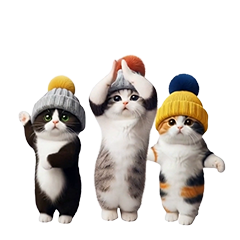 踊る!ニット帽にゃんこ