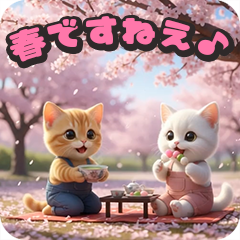 タマにゃんの春