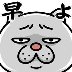 ウザ～～い猫★圧がすごい