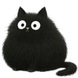 黒猫ニャ～ゴ2