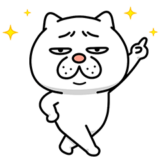 ウザく動く！ウザ～～い猫6