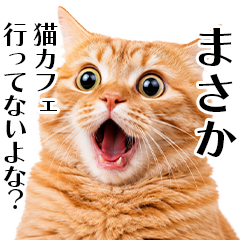 飼い猫の叫び