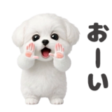 踊る♥マルチーズ