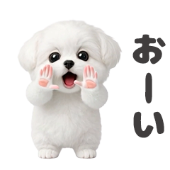 踊る♥マルチーズ