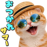 飛び出す❤️猫猫猫の夏
