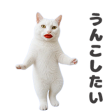動く！ギロリ猫