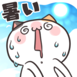 ダルにゃんの夏！