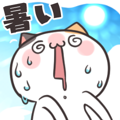 ダルにゃんの夏！