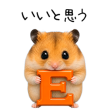 ハムっちの夏休み