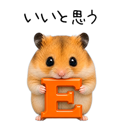 ハムっちの夏休み