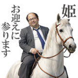 白馬の王子様❤