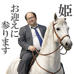 白馬の王子様❤
