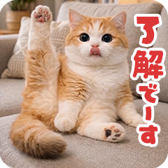 動く!リアル猫の日常5