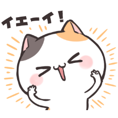 ダルにゃん!ポジティブ