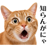 リアル猫★関西弁