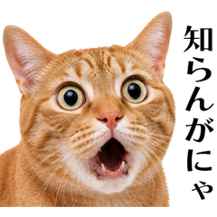 リアル猫★関西弁